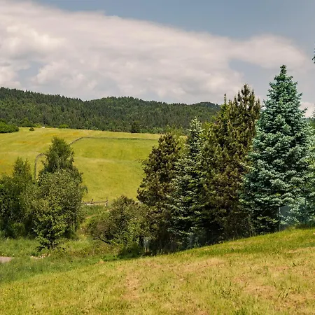 Apartment Gorczanska Sapalowka *