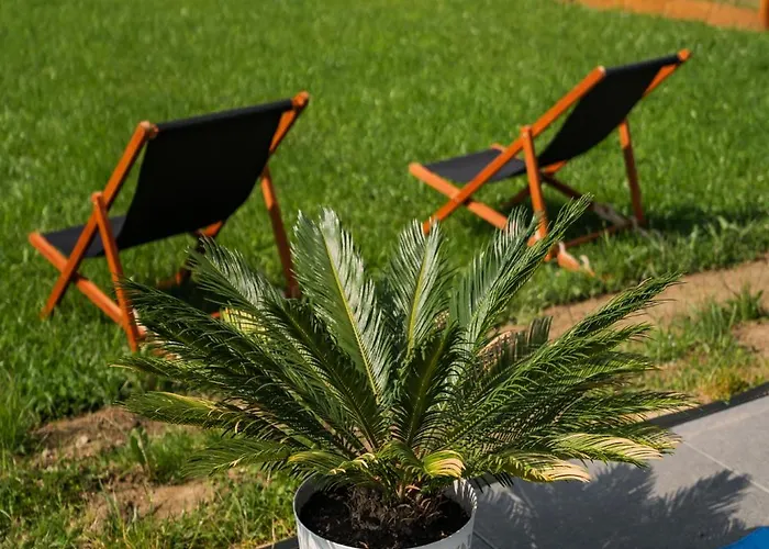 Gorczanska Sapalowka * Maniowy