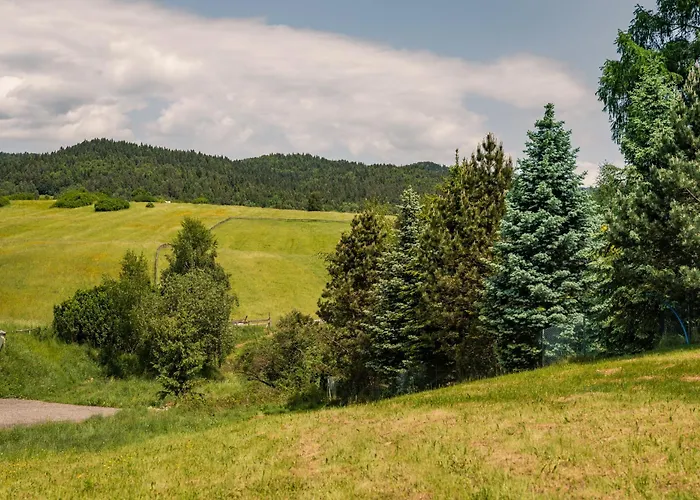 Appartamento Gorczanska Sapalowka *